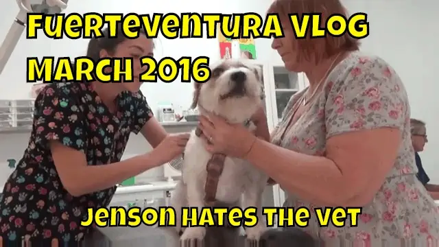 Fuerteventura Vlog March