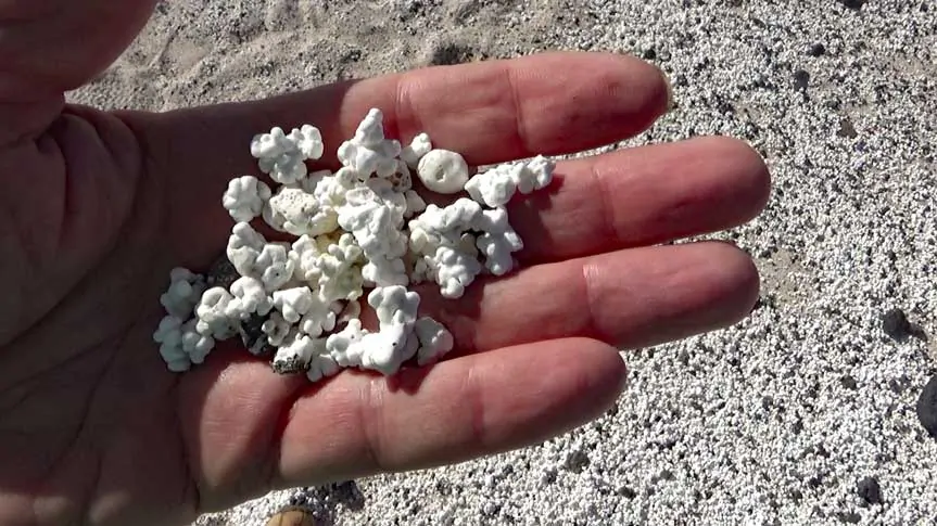 Popcorn Beach Fuerteventura